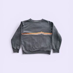 Patagonia Stripe Graphic Crewneck Sweatshirt XS Grey Retro Wave